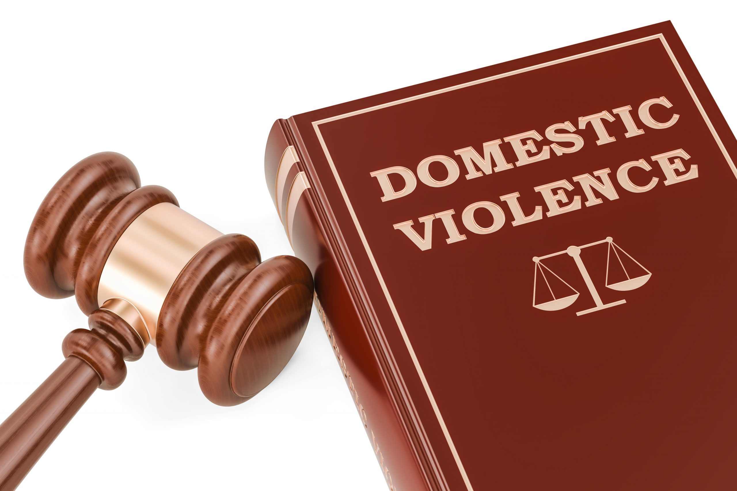 Parliamentary inquiry into family, domestic and sexual violence